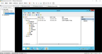 dhcp服务器的配置(DHCP服务器的配置实验报告) 20240511更新