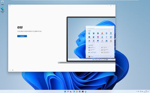 windows11官方版下载(正版win11官网下载)