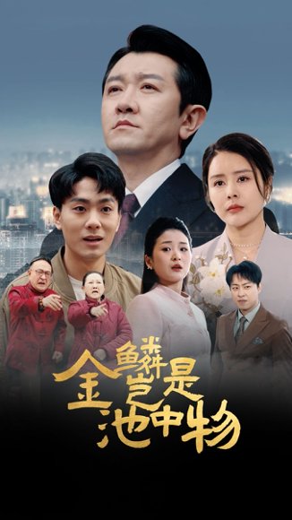 金Lin岂是池中物（61集）田恬 高清完整版