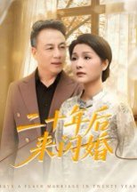 二十年后来闪婚（60集）赵晶 高清完整版