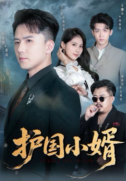 护国小婿（60集）李佳轩&赵志盟 高清完整版