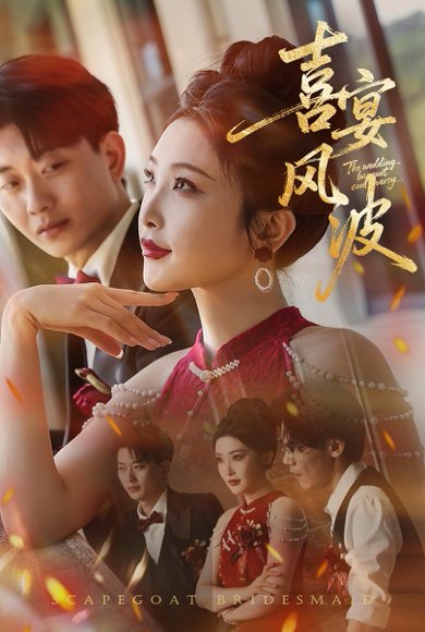 喜宴风波&替罪伴娘（30集）张璇&张逊 高清完整版